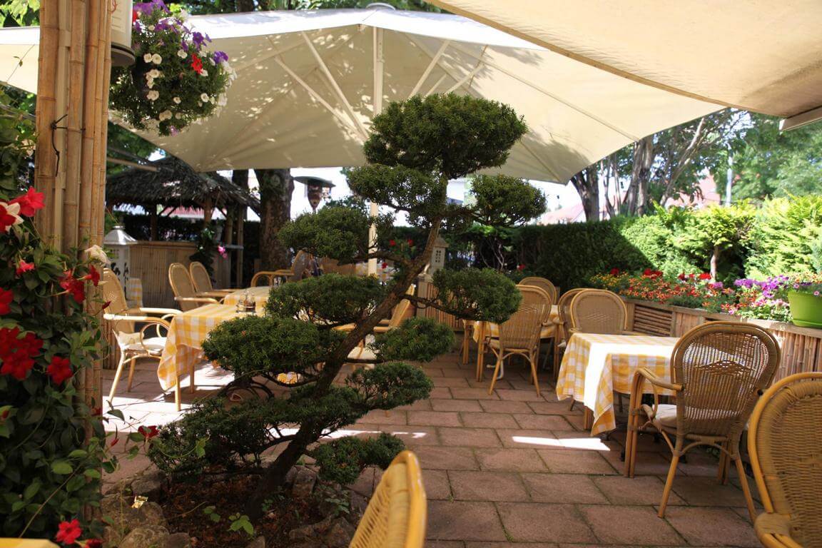 Galerie  BonSai Garden